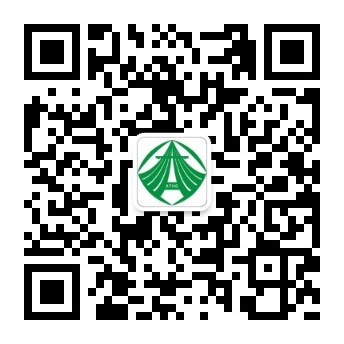 1491530502529635.jpg 14914458059384644.jpg
