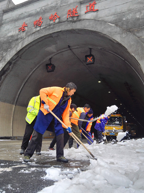 1515292436138058.jpg 15152334837478020.jpg